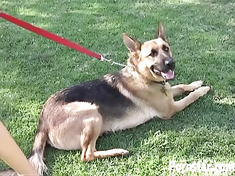 India Summer taking excellent care of sascha koch's pipe